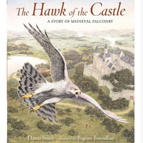 The Hawk of the Castle: A Story of Medieval Falconry