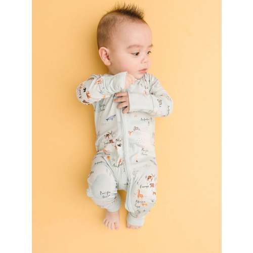 World Explorer Bamboo Sleeper
