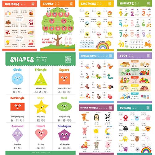 Learn Chinese for Kids Poster Set - Bilingual With English for Babies, Toddlers, and Preschoolers - Learning Videos Included - With Traditional Chinese and Zhuyin