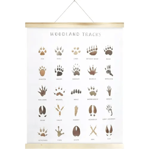 Woodland Animal Tracks Poster Hanger, Educational Wall Decor for Nursery & Playroom, Forest Themed Canvas Print with Wooden Frame for Kids Room