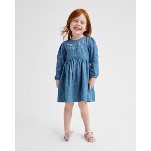 Baby And Toddler Girls Embroidered Floral Chambray Fit And Flare Dress - Blue