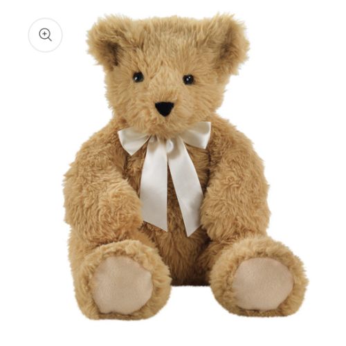20 In. World's Coziest Bear