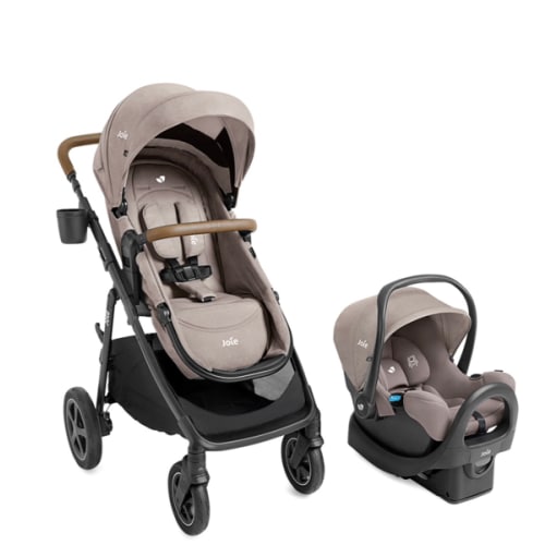 Cash Fund for Stroller/Car Seat
