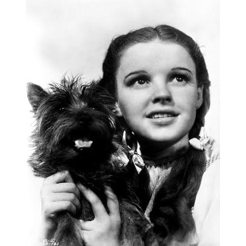 Dorothy Gale Holding Toto Wizard of Oz - Photograph Black & White Photo Print (8 x 10)