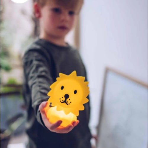 Lion Bundle Light - Mini LED Night Light – Mr.Maria US Official Site