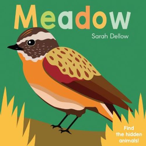 Now You See It! Meadow - by Sarah Dellow (Board Book)