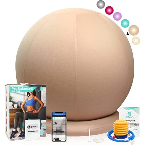 Pregnancy Stability Ball