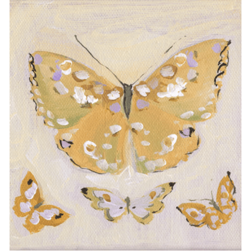 Aurora Butterfly Block