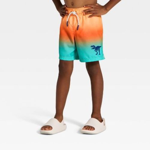 Infant Boys' Ombre Dino Swim Trunks - Cat & Jack™ Bright Orange 12M