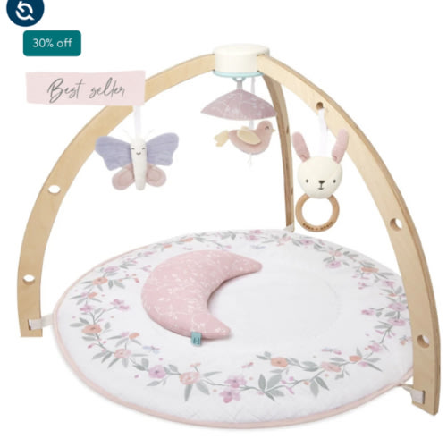 Baby Gym | Premium Baby Activity Gym | aden + anais