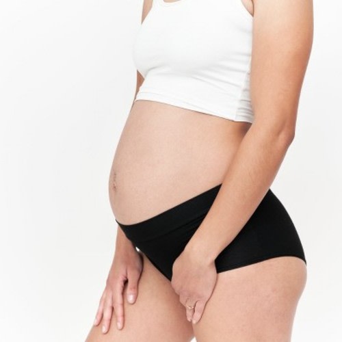 The Larken X Nursing and Hands Free Pumping Bra, White Medium