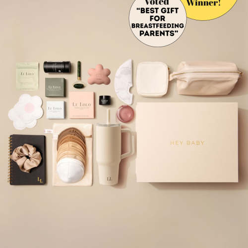 The Ultimate Breastfeeding Set in Blush