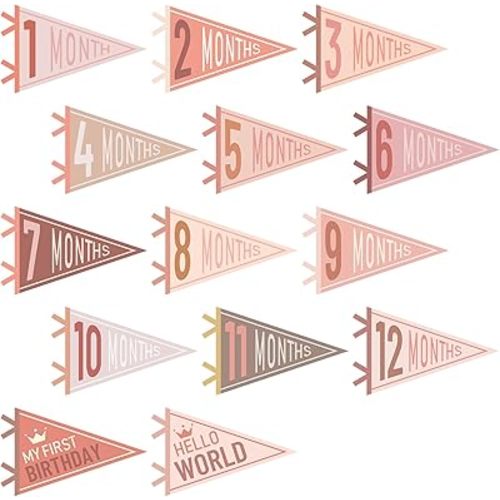 VitalCozy 14 Pcs Baby Milestone Pennant Signs Monthly Milestone Banner Flags Pennant Triangle Banner Age Flag Signs for Boy Girl Newborn Birthday Party Decor(Vivid Colors)