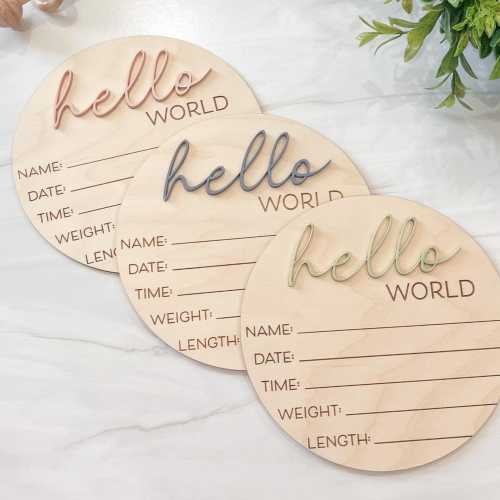 Hello World Baby Announcement Sign | Baby Sign For Hospital | Welcome Baby Sign | Hello World | Baby Sign For Hospital | Gender Neutral Sign