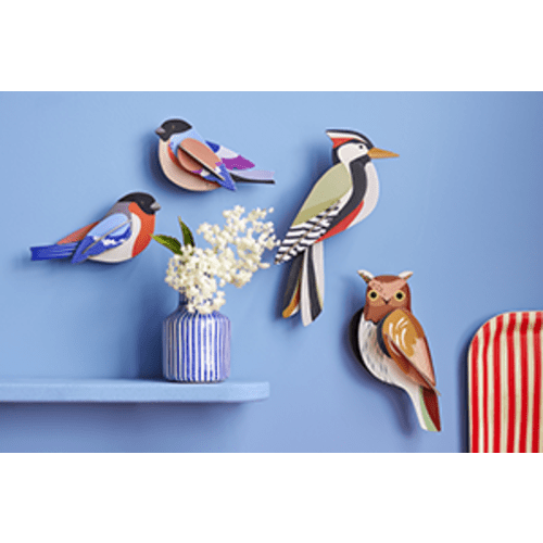 Striped Wing Beetle - Studio ROOF