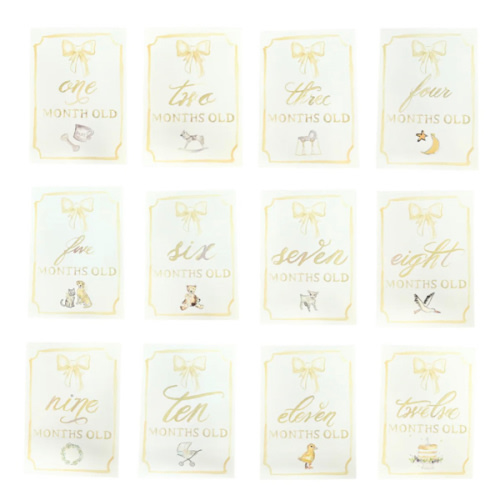 Monthly Milestone Card Set | Danrie