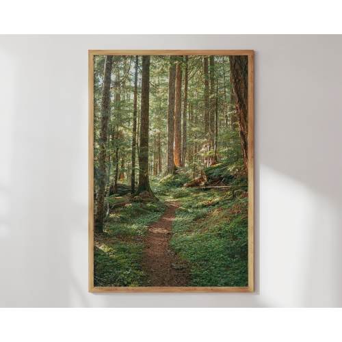 Pacific Northwest Wall Art, Cottagecore Enchanted Forest Print, Washington Nature Photography, PNW Home Decor, Film Wall Art, Woods Poster