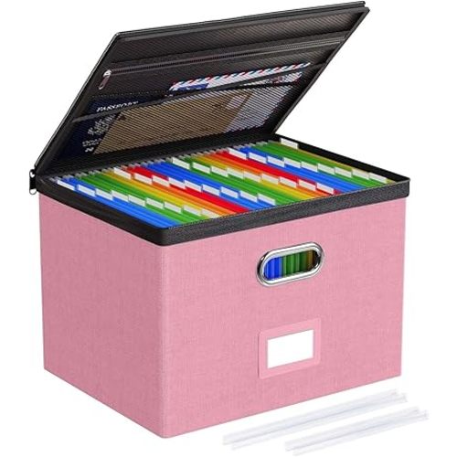 Oterri 1 Pack Large File Organizer Boxes with Lids, File Box with Mesh Pockets, Document Organizer Box for Legal/Letter Size Folders, Zippers Important Document Organizer (Pink, Without Folders)