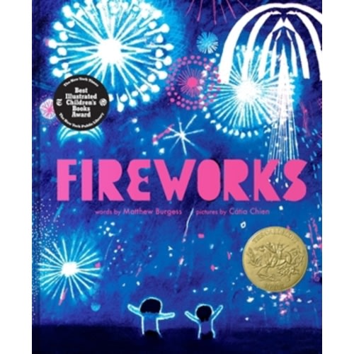 Fireworks book by Matthew Burgess