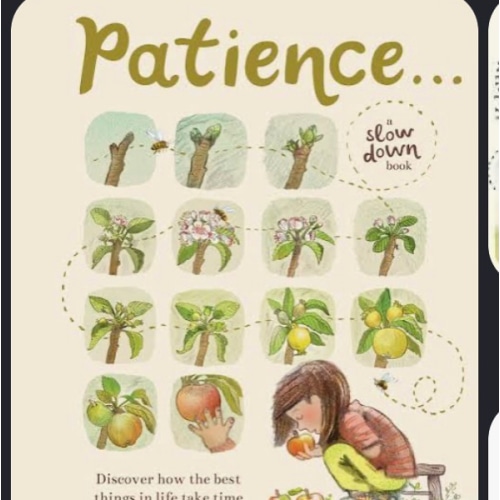 Patience . . . (A Slow Down Book): Discover How the Best Things in Life Take Time