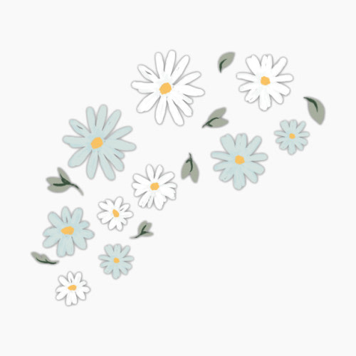 Lambs & Ivy Wall Decals - Sweet Daisy