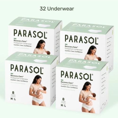 Recovery Care™ Postpartum Underwear L/XL
