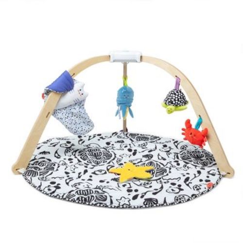 Melissa & Doug Ocean Easy-Fold Play Gym Developmental Toy for Infants with Reversible Mat