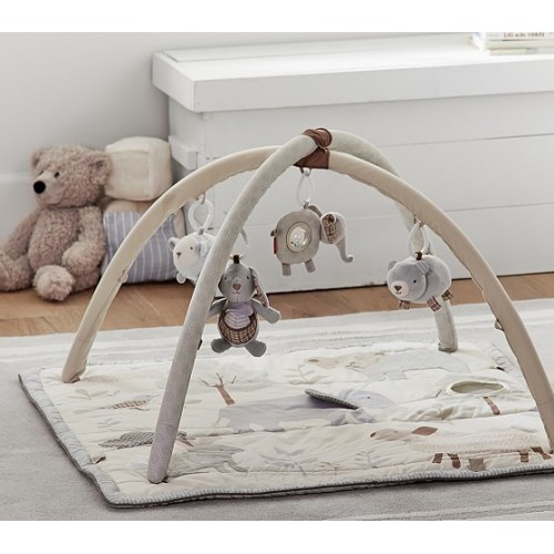 Skip Hop x pbk Classic Activity Gym - Animal Friends