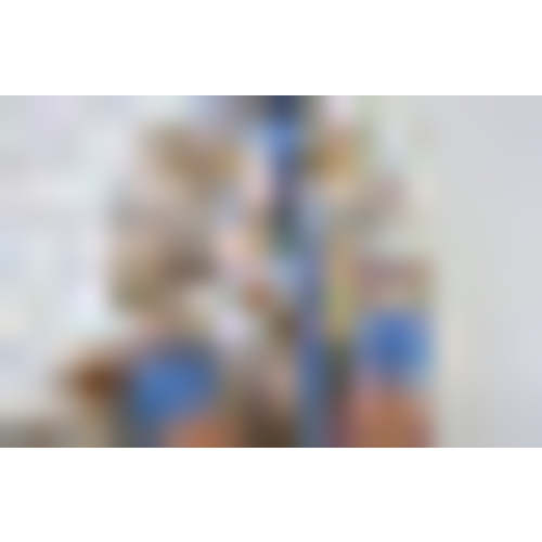 Preorder – Monkeeroos