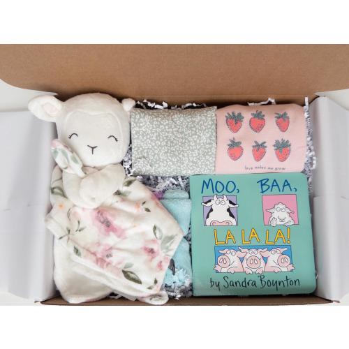 Baby Girl Gift Box, Bodysuits, Bib, Board Book, Security Blanket