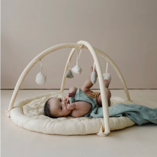 Play Gym