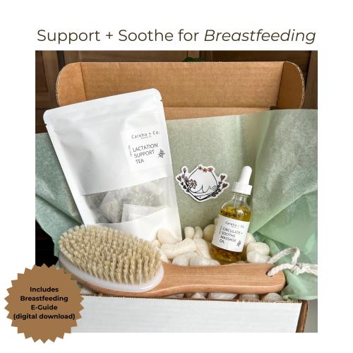 Breastfeeding Wellness Gift Set – Lactation Tea, Massage Oil & Brush (E-Guide)