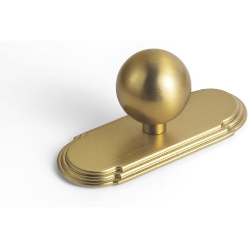 Goo-Ki 1.0''(24mm) Dia Cabinet Knob with Backplate,Brushed Gold Drawer Knobs with Zinc Alloy Material,6 Packed