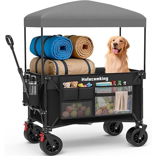 Collapsible Canopy Wagon Cart, All-Terrain Big Wheels, Black