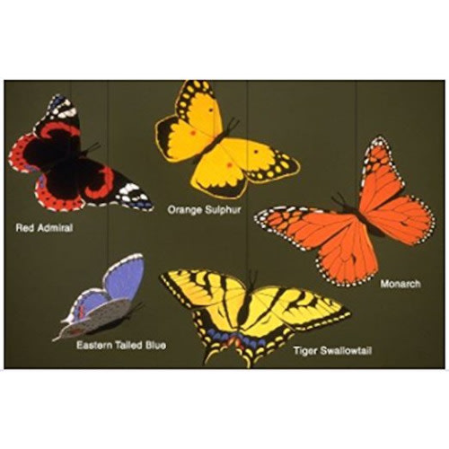 Butterfly Combo Mobile