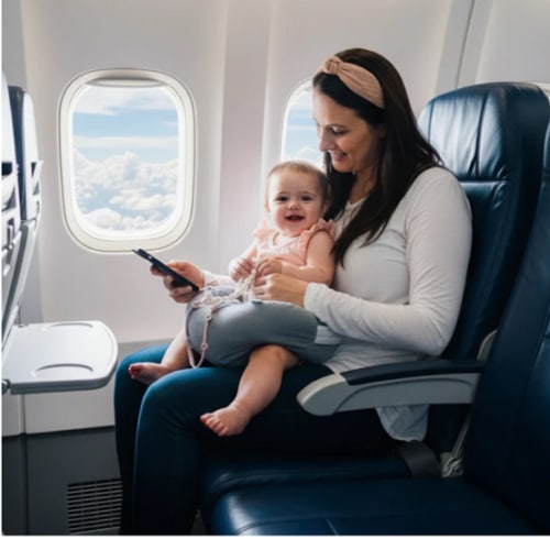 The Winglet®