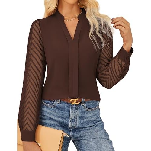 GRACE KARIN Women Business Casual Tops Sheer Lace Long Sleeve Blouses Work Office Pleated V Neck Shirt Fall Formal Outfits