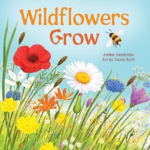 Wildflowers Grow (Little Nature Explorers)