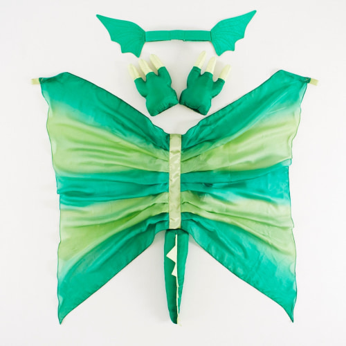 Dinosaur Soaring Dress-Up Set – Sarah's Silks