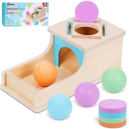 FCSONU Toddlers Montessori Coin Box Toys for 1 2 3 Year Old Girls Boys, Object Permanence Box Ball Drop Toy, Learning Sorting Sensory Toys for Ages 2-3 Kids, 1st Birthday Gifts for Baby 12-18 Months
