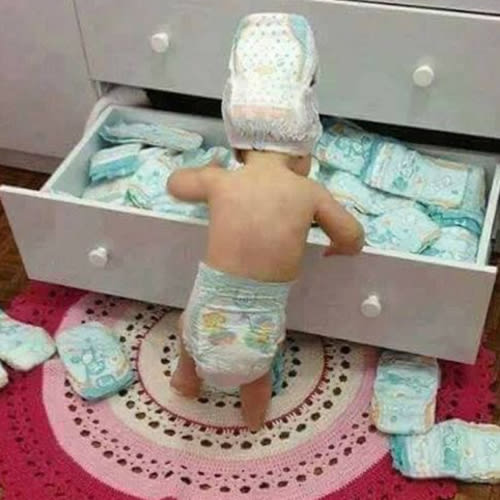 Diaper Fund 🧷