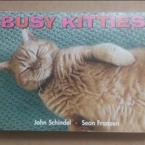 Busy Kitties by John Schindel, Sean Franzen