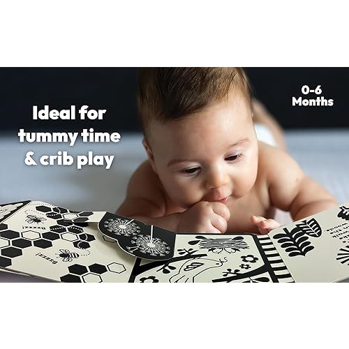 Look, Look, Baby! Forest: Black and White High Contrast Tummy Time Book for Newborns Board book – Pop up, March 4, 2025