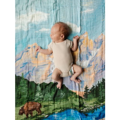 Grand Teton National Park Reversible Landscape Baby Quilt - 1canoe2