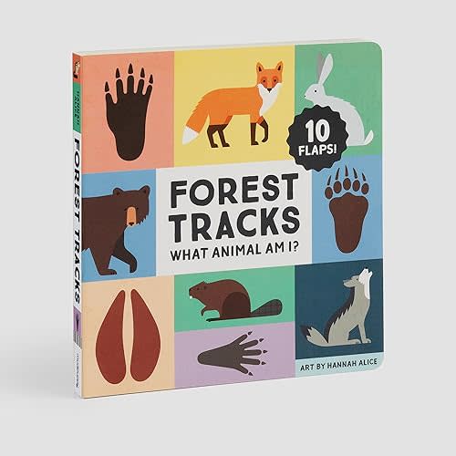 Forest Tracks Board Book