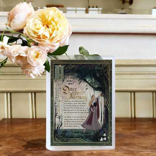 Sleeping Beauty Book Vase, Acrylic Book Vase, Fairy Tale Decor, Princess Aurora Inspired Vase, Fantasy Book Vase, Romantic Gift, Book Lover