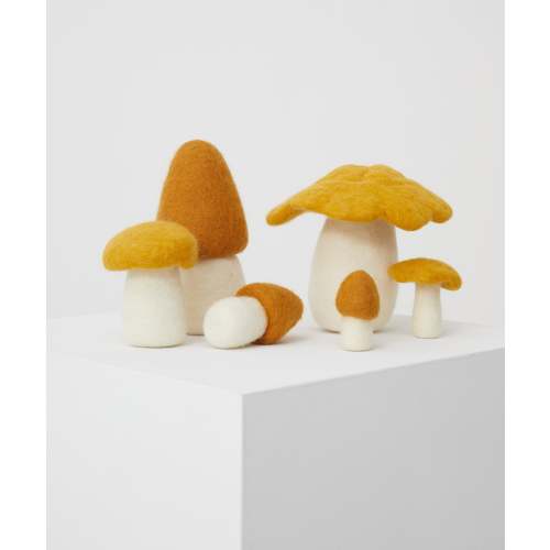 Crate of Mushrooms