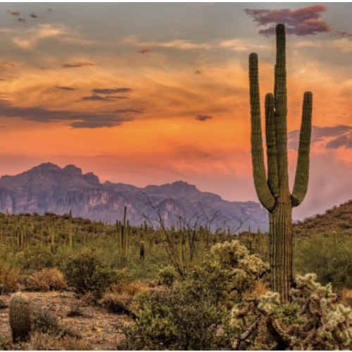 Arizona Travel (to get her!) Fund