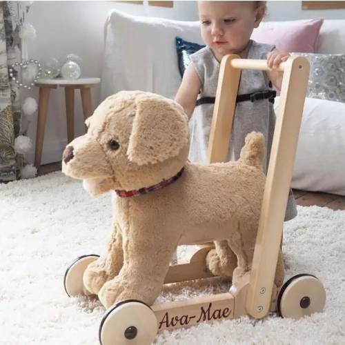 Personalised Dexter Dog Baby Walker | Plush Push Along Toys