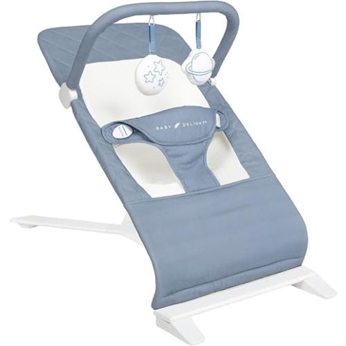 Baby Delight Alpine Deluxe Portable Baby Bouncer | Infant | 0-6 Months | 100% GOTS Certified Organic Cotton Fabric | Organic Dusty Blue
